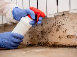 Smithville Sanders, IN Mold Removal Company